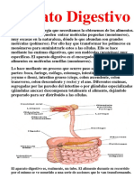 Aparato Digestivo