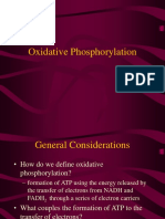 Oxidative phosphorylation