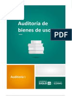 13- Auditoria de Bs.de Uso