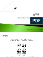 World Wide Fund For Nature: Rodrigo Rodrigues Nº 17, 9º B Professora: Lurdes Rego