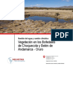 bOFEDALES DE ANDAMARCA ORURO BOLI.pdf