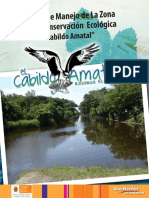 Cabildo Amatal PDF