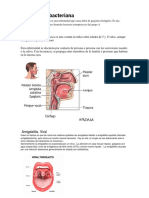 Amigdalitis Bacteriana