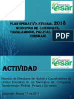 Plan Operativo Integral 2018 - N