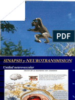 sinapsis y neurotransmision 2019.pdf