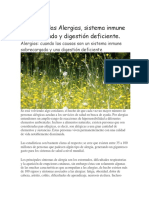 Causas de Las Alergias, Sistema Inmune Sobrecargado y Digestión Deficiente