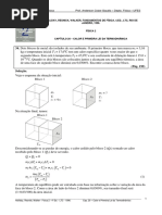 Cap 20 Halliday Exercícios Resolvidos
