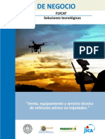ejemplo plan de negocios flycat.pdf
