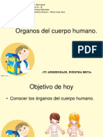 2°básico-Ciencias Naturales-Órganos Del Cuerpo Humano