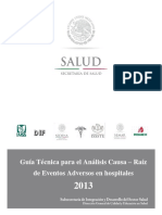 Analisis de causa Raiz de la SSA.pdf