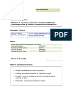 Primer Informe de Avance Modelo G1