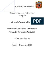 reporte de candidas.docx