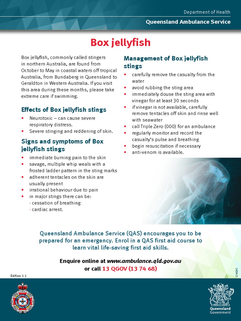 Management of Box Jellyfish Stings Signs, Symptoms, and Treatment