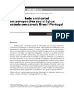 VISIBILIDADE AMBIENTAL NO BRASIL.pdf