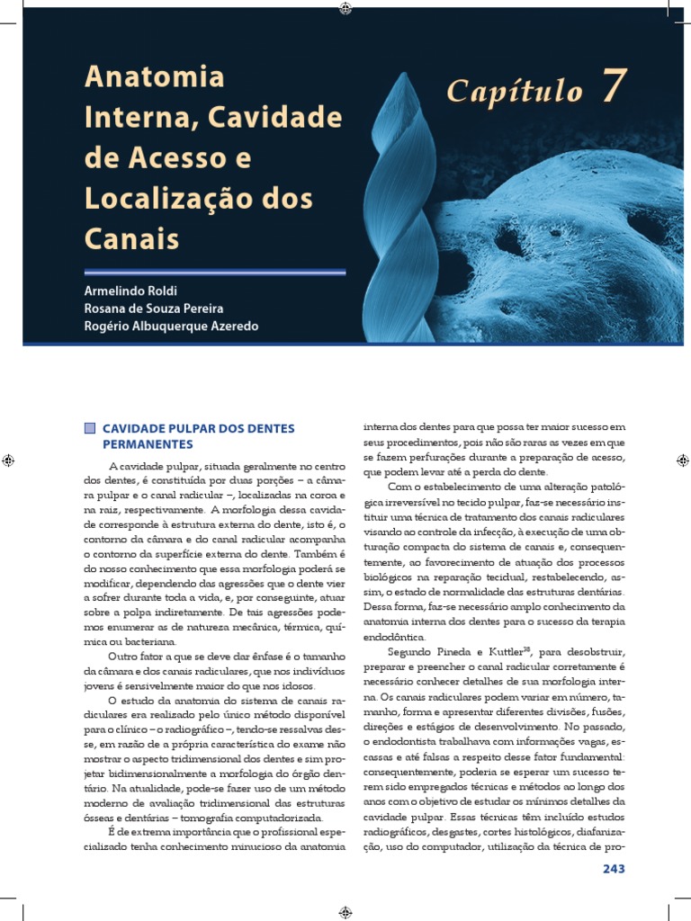 Livro Endo Pdf Pdf Dente Tomografia Computadorizada