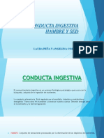 Conducta Ingestiva Diapositiva 2