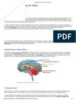 Fisiologia Do Parto