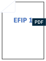 EFIP1.pdf