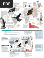 INFOGRAFICO ESPECIES AMEACADAS.pdf