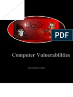 Computer Vulnerabilities
