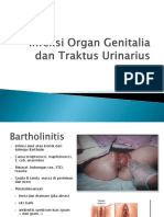 203785008-Infeksi-Organ-Genitalia-Dan-Traktus-Urinarius.ppt