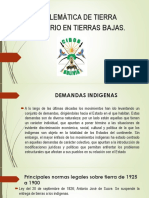 Problemática de Tierra Territorio en Tierras Bajas