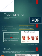 Trauma renal: causas, diagnóstico y tratamiento