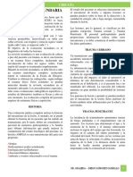 4.- Evaluación Secundaria - Dr Grajeda.docx