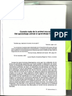 Pozo2003 PDF