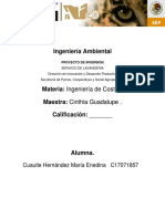 Ingeniería Ambiental costos.docx