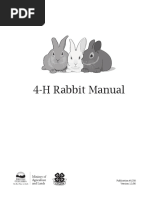 4h Rabbit RG PDF