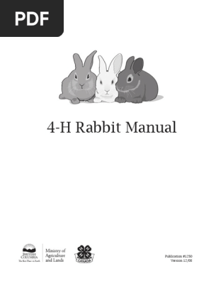 4h_rabbit_RG.pdf