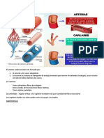 Resumen SEMIOLOGIA CARDIOVASCULAR