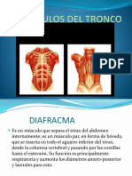 MUSCULOS DEL TRONCO ANATOMIA.pptx