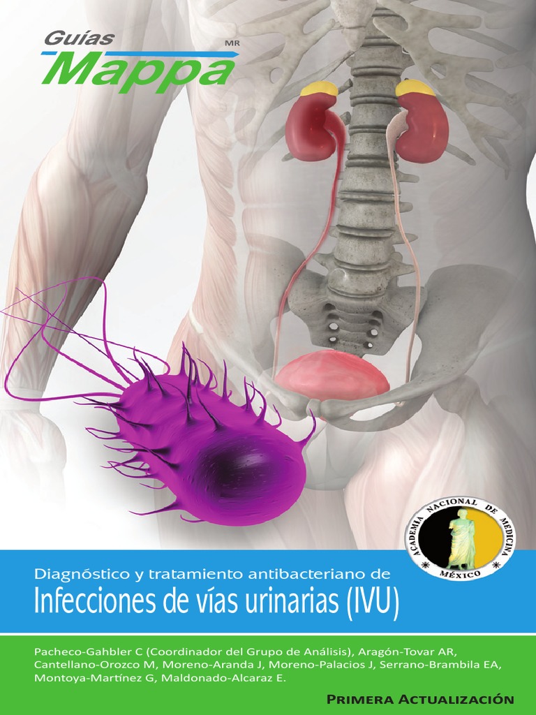 Guias Mappa Ivu PDF | PDF | Infección del tracto urinario ...