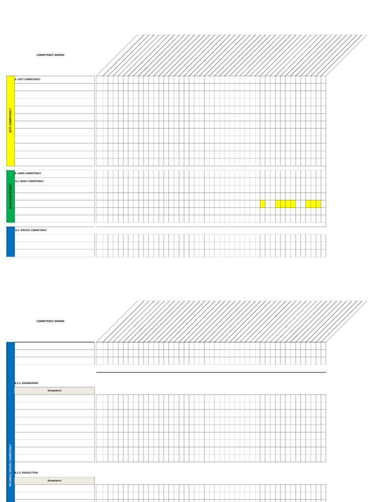 Competency Matrix Overview and Examples | PDF