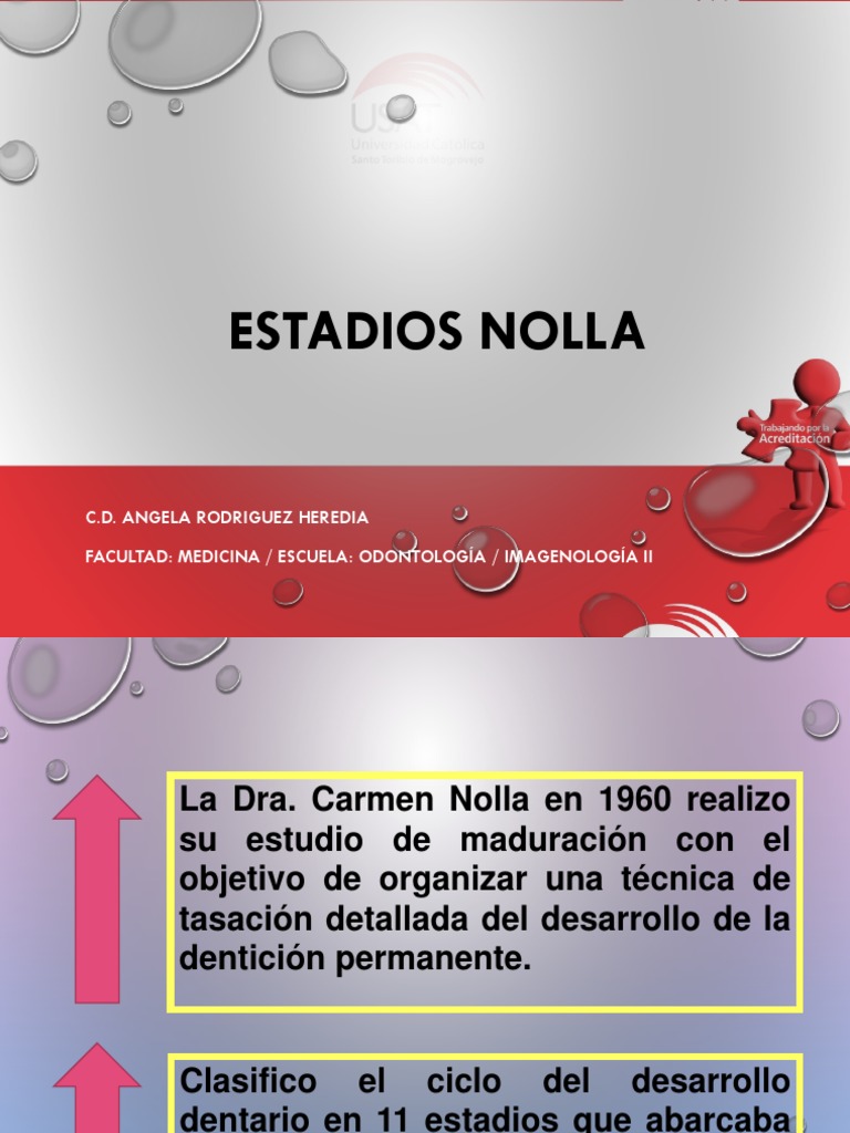 Estadios De Nolla