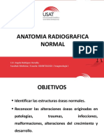 Anatomia Radiografica Normal