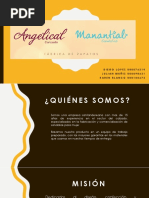 TEORÍA DE LA ORGANIZACIÓN EXP