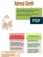 Adrenal Glands GCE Biology