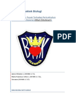 Laporan Praktek Biologi Hidroponik Final