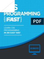 CSS Learn CSS FAST!.pdf