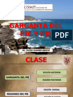 Clase 12 - Pie PDF