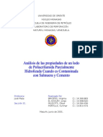 162767489 Poliacriamida Parcialmente Hidrolizada