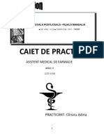 Caiet Practica Ii