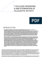 Study of Cellulose Degrading Bacteria and Dtermiation of Their Cellulolytic Activity