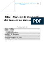 IT-A0-018-05-KaliSil Stratégie de Sauvegarde Des Données Sur Serveur Interne