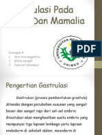 Gastrulasi Pada Aves Dan Mamalia