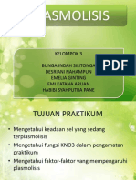 Plasmolisis Beneran Fix