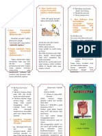 Leaflet Typhus Abdominalis